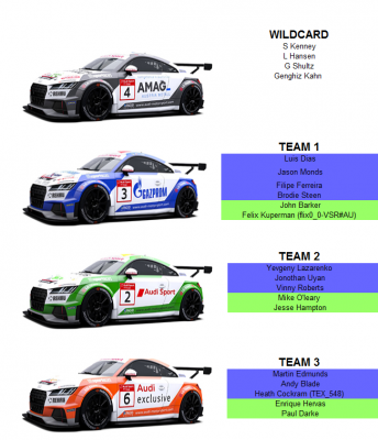 Audi tt final teams.PNG